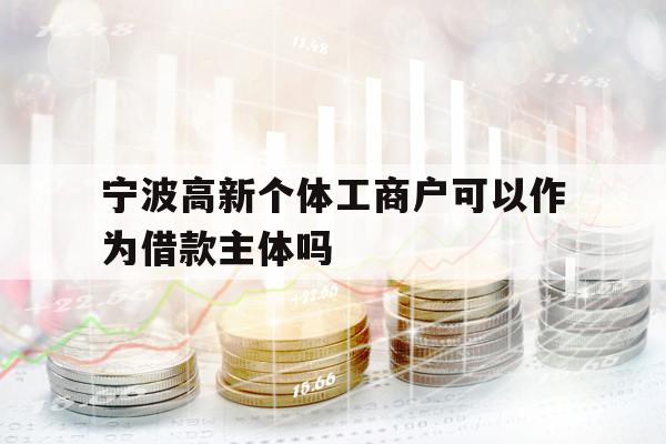 寧波高新個體工商戶可以作為借款主體嗎
