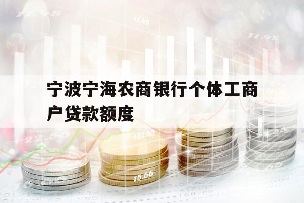 寧波寧海農(nóng)商銀行個(gè)體工商戶(hù)貸款額度