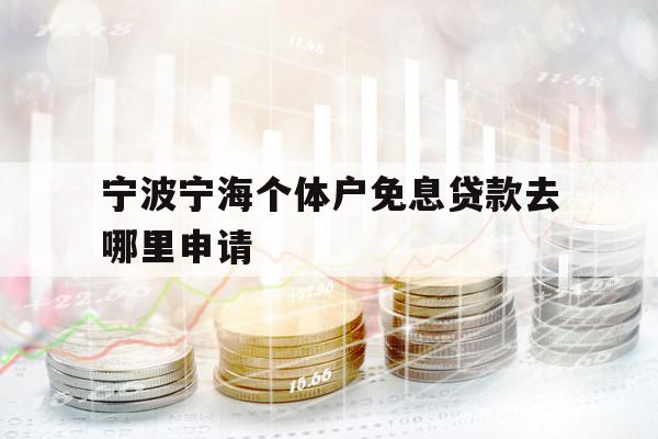 寧波寧海個體戶免息貸款去哪里申請
