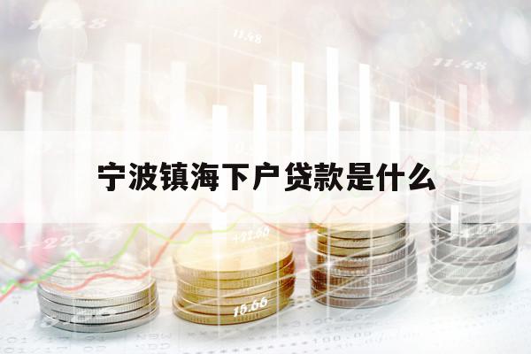 寧波鎮(zhèn)海下戶貸款是什么