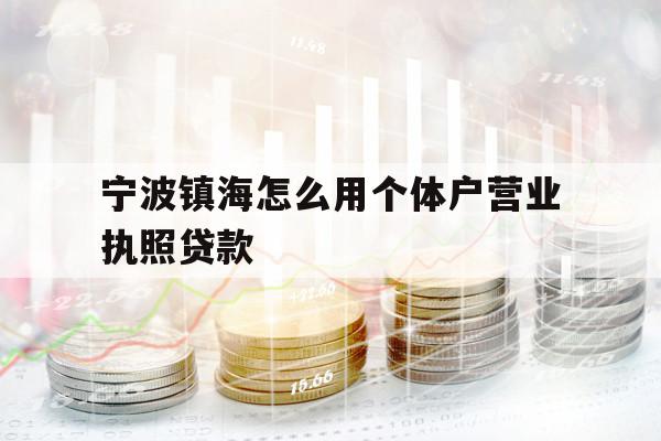 寧波鎮(zhèn)海怎么用個(gè)體戶營業(yè)執(zhí)照貸款