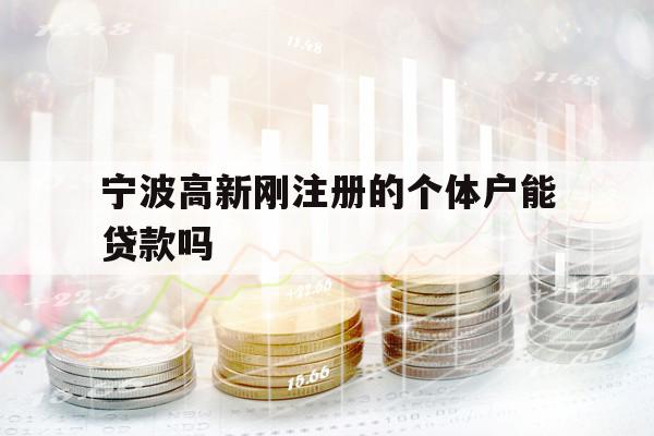 寧波高新剛注冊(cè)的個(gè)體戶能貸款嗎