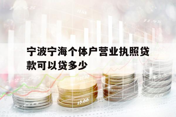 寧波寧海個(gè)體戶營業(yè)執(zhí)照貸款可以貸多少