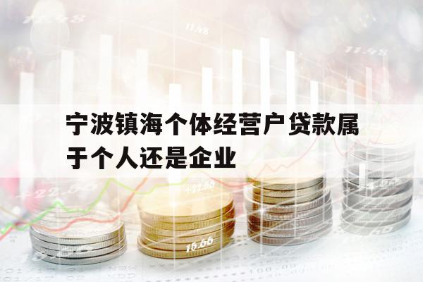 寧波鎮(zhèn)海個體經(jīng)營戶貸款屬于個人還是企業(yè)