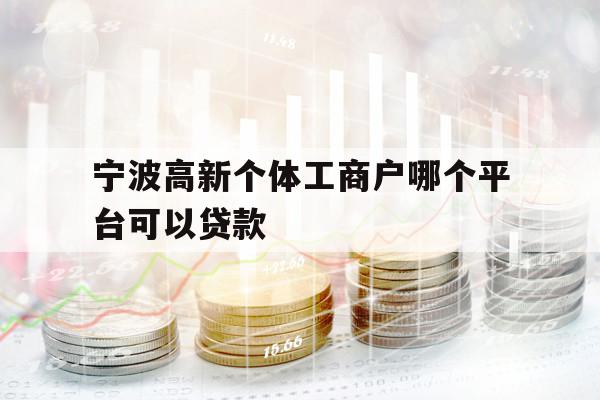 寧波高新個體工商戶哪個平臺可以貸款
