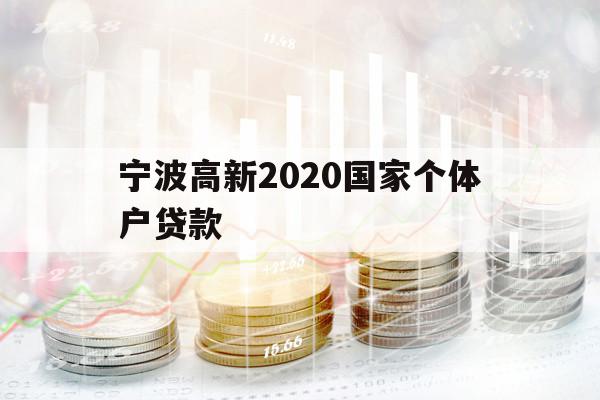 寧波高新2020國家個體戶貸款