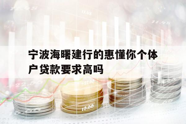 寧波海曙建行的惠懂你個(gè)體戶貸款要求高嗎