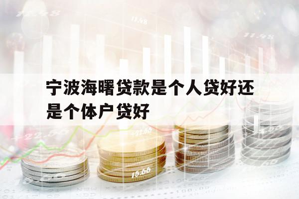 寧波海曙貸款是個人貸好還是個體戶貸好
