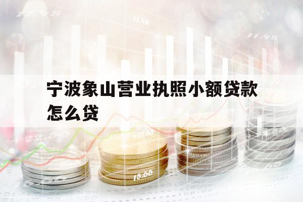 寧波象山營業(yè)執(zhí)照小額貸款怎么貸