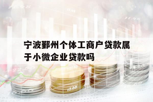 寧波鄞州個體工商戶貸款屬于小微企業(yè)貸款嗎