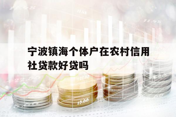 寧波鎮(zhèn)海個體戶在農村信用社貸款好貸嗎