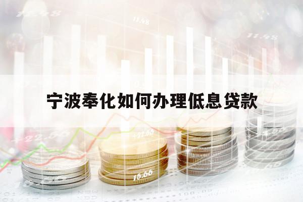 寧波奉化如何辦理低息貸款