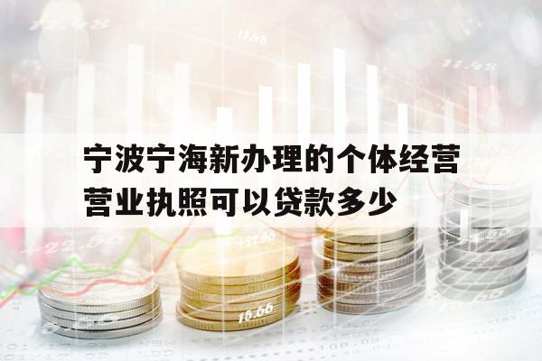 寧波寧海新辦理的個(gè)體經(jīng)營營業(yè)執(zhí)照可以貸款多少