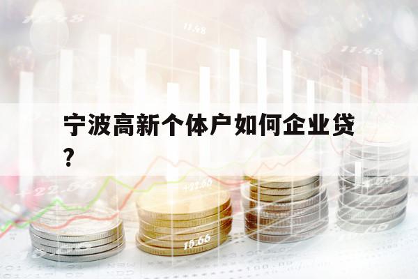 寧波高新個體戶如何企業(yè)貸?