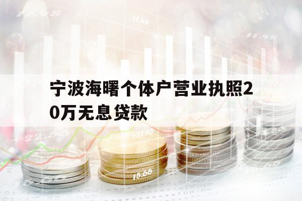 寧波海曙個體戶營業(yè)執(zhí)照20萬無息貸款