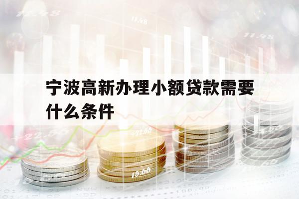 寧波高新辦理小額貸款需要什么條件