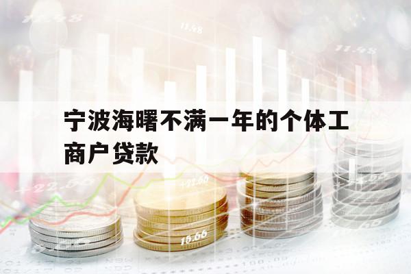 寧波海曙不滿一年的個體工商戶貸款