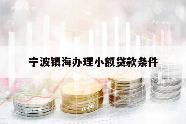 寧波鎮(zhèn)海辦理小額貸款條件