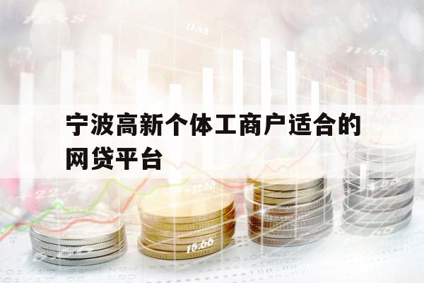 寧波高新個體工商戶適合的網(wǎng)貸平臺
