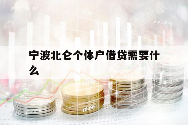 寧波北侖個(gè)體戶借貸需要什么