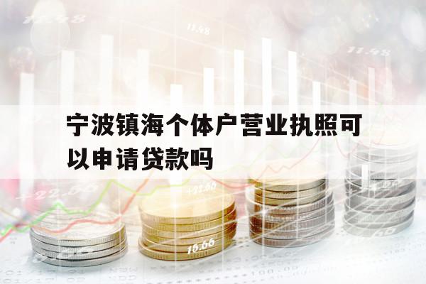 寧波鎮(zhèn)海個(gè)體戶營業(yè)執(zhí)照可以申請貸款嗎
