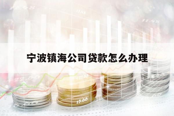 寧波鎮(zhèn)海公司貸款怎么辦理