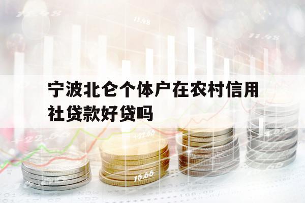 寧波北侖個體戶在農(nóng)村信用社貸款好貸嗎