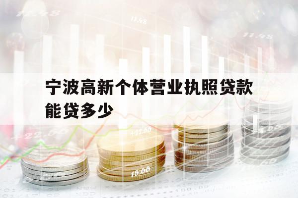 寧波高新個(gè)體營(yíng)業(yè)執(zhí)照貸款能貸多少