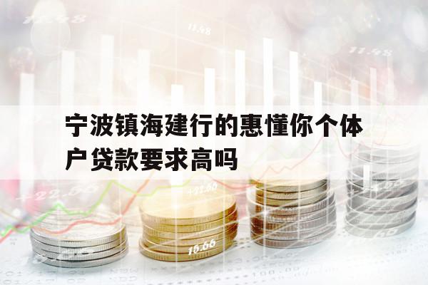 寧波鎮(zhèn)海建行的惠懂你個(gè)體戶貸款要求高嗎
