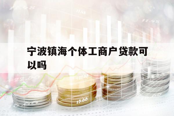 寧波鎮(zhèn)海個(gè)體工商戶貸款可以嗎
