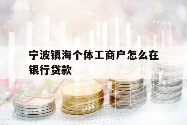 寧波鎮(zhèn)海個體工商戶怎么在銀行貸款