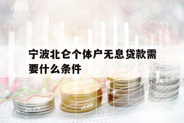 寧波北侖個(gè)體戶(hù)無(wú)息貸款需要什么條件