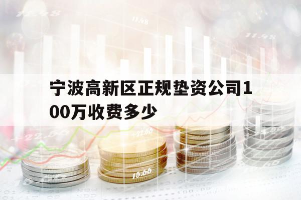 寧波高新區(qū)正規(guī)墊資公司100萬收費多少