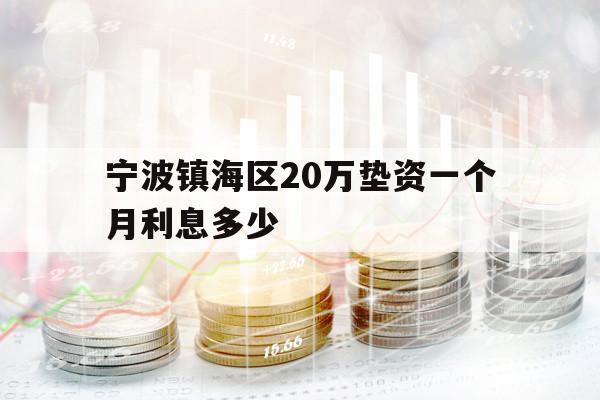 寧波鎮(zhèn)海區(qū)20萬墊資一個月利息多少