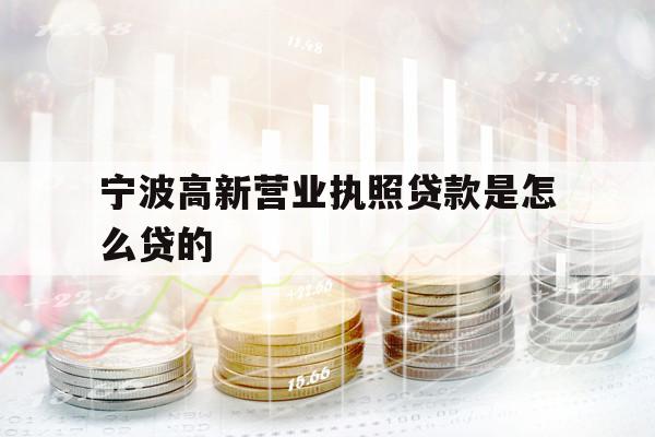 寧波高新營業(yè)執(zhí)照貸款是怎么貸的