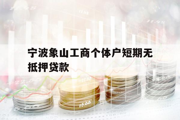 寧波象山工商個(gè)體戶短期無抵押貸款