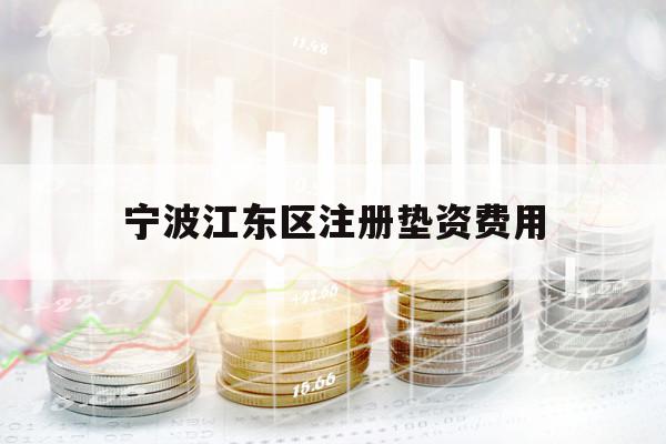寧波江東區(qū)注冊墊資費用