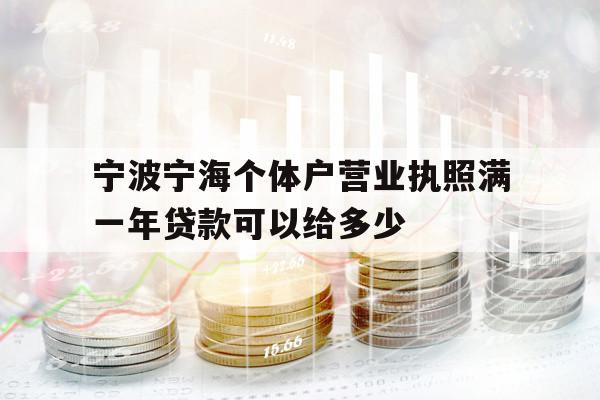 寧波寧海個(gè)體戶營業(yè)執(zhí)照滿一年貸款可以給多少