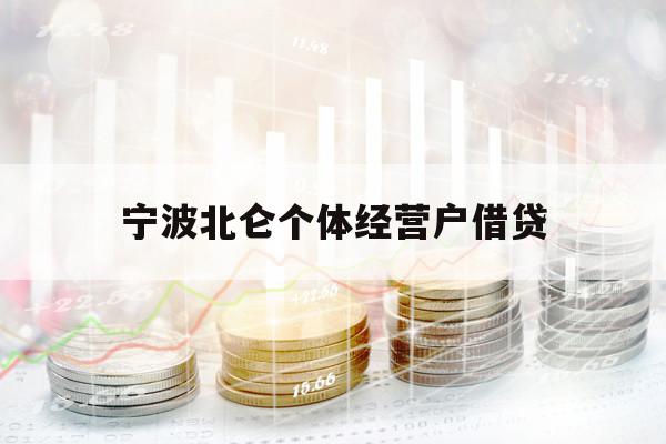 寧波北侖個體經(jīng)營戶借貸