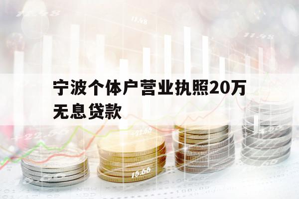 寧波個體戶營業(yè)執(zhí)照20萬無息貸款