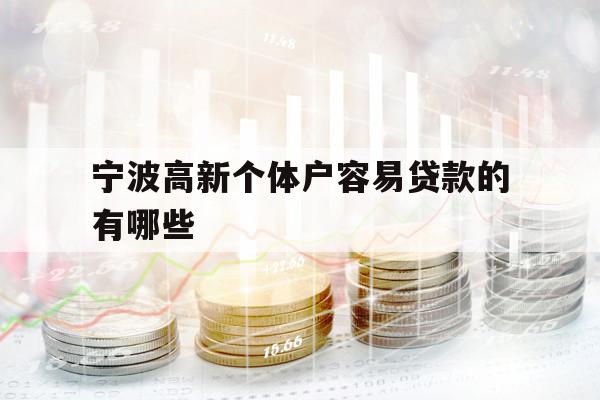 寧波高新個體戶容易貸款的有哪些