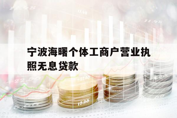 寧波海曙個(gè)體工商戶營(yíng)業(yè)執(zhí)照無(wú)息貸款