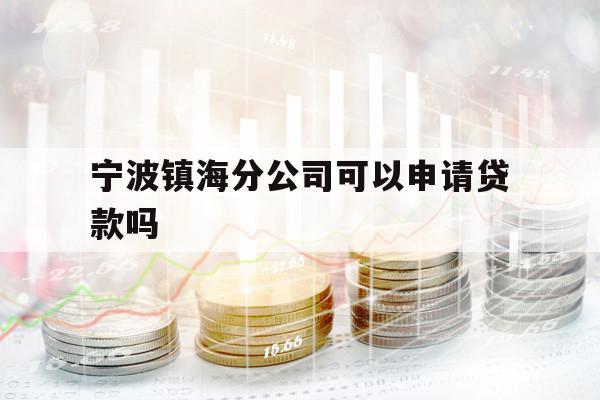 寧波鎮(zhèn)海分公司可以申請貸款嗎
