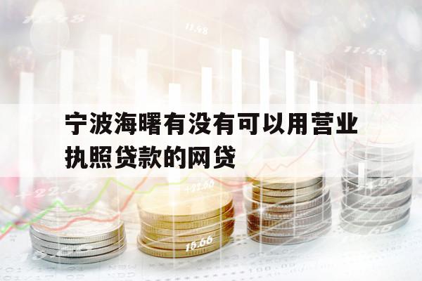 寧波海曙有沒有可以用營業(yè)執(zhí)照貸款的網(wǎng)貸