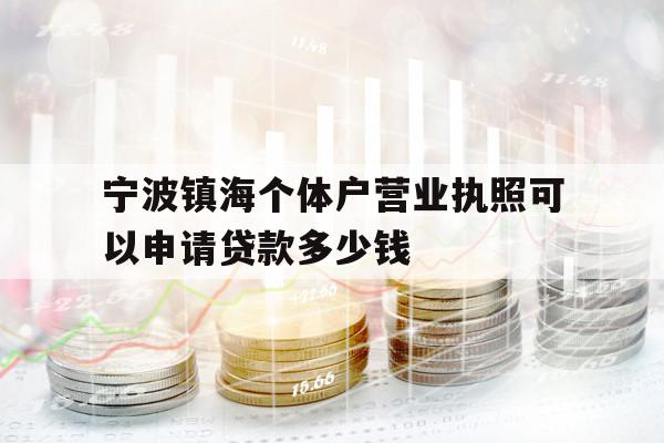 寧波鎮(zhèn)海個(gè)體戶營業(yè)執(zhí)照可以申請貸款多少錢
