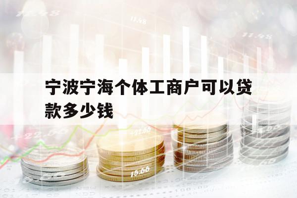 寧波寧海個體工商戶可以貸款多少錢