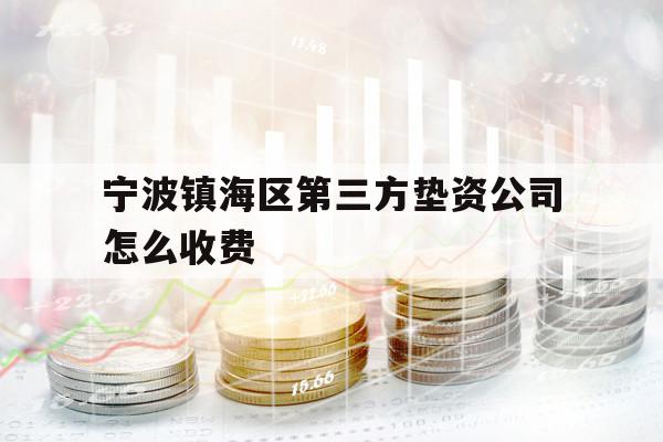 寧波鎮(zhèn)海區(qū)第三方墊資公司怎么收費