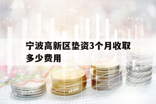 寧波高新區(qū)墊資3個月收取多少費用