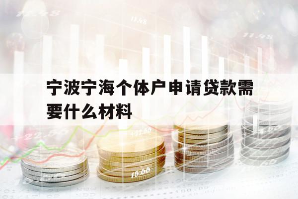 寧波寧海個(gè)體戶(hù)申請(qǐng)貸款需要什么材料