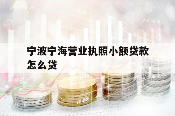 寧波寧海營(yíng)業(yè)執(zhí)照小額貸款怎么貸